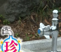 日本の強力すぎる公園の水のみ場動画が海外で人気沸騰中！