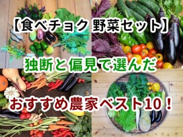 【食べチョク 野菜セット】独断と偏見で選んだおすすめ農家ベスト10！