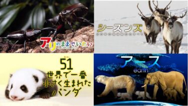【癒やされる!】ドキュメンタリー・自然・動物をテーマに描いたおすすめ映画15作品の紹介!!　