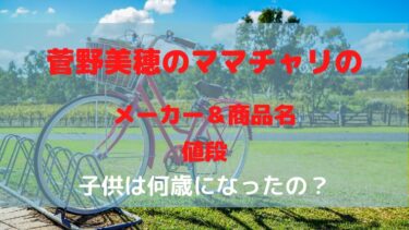 菅野美穂のママチャリ(電動自転車)のメーカーや値段を調査！子供2人は何歳になった？