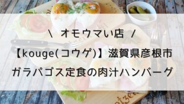 【kouge(コウゲ)滋賀県彦根市】ガラパゴス定食の肉汁ハンバーグ/オモウマい店